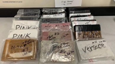 Alleged fentanyl trafficker arrested in Arcadia, nearly 40 pounds worth .3 million seized Alleged fentanyl trafficker arrested in Arcadia, nearly 40 pounds worth .3 million seized