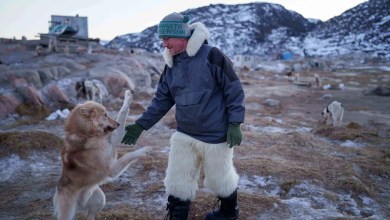 A Greenland sled dog champion fears for his culture as climate change melts the ice A Greenland sled dog champion fears for his culture as climate change melts the ice