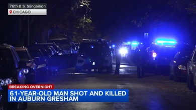 Man found shot to death in Auburn Gresham gangway, police say Man found shot to death in Auburn Gresham gangway, police say