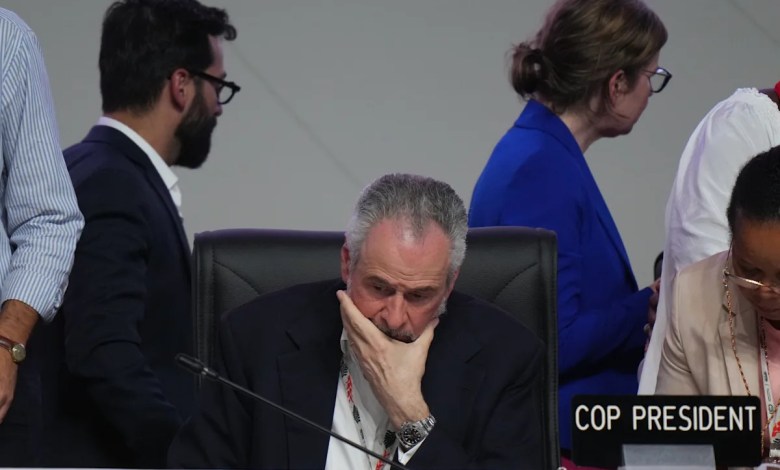 Many hoped UN climate talks in Brazil would be historic. They may be remembered as a flop Many hoped UN climate talks in Brazil would be historic. They may be remembered as a flop