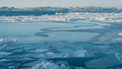 Arctic sea ice hits lowest winter level as heat records are shattered worldwide Arctic sea ice hits lowest winter level as heat records are shattered worldwide