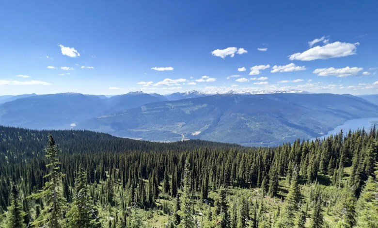 Avoid Banff National Park’s Crowds At One Of Canada’s Serene And Picturesque Alternatives Avoid Banff National Park’s Crowds At One Of Canada’s Serene And Picturesque Alternatives