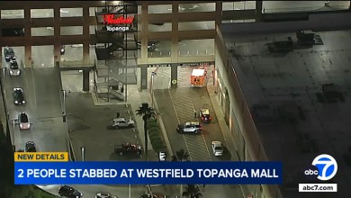 2 stabbed during robbery attempt at Westfield Topanga mall in Canoga Park 2 stabbed during robbery attempt at Westfield Topanga mall in Canoga Park