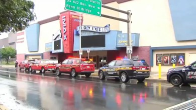 Person dies after falling through roof at IMAX theater in Reading Person dies after falling through roof at IMAX theater in Reading