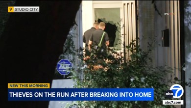 Thieves on the run after breaking into Studio City home Thieves on the run after breaking into Studio City home