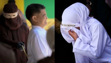 Brickbat: Raising Cane Brickbat: Raising Cane