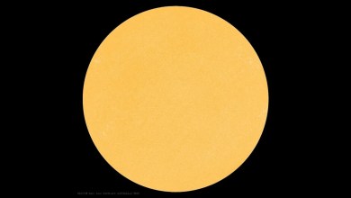 The sun just had no visible sunspots for the 1st time since 2022. Is the end of the current solar cycle near? The sun just had no visible sunspots for the 1st time since 2022. Is the end of the current solar cycle near?