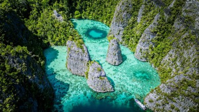 Swan Hellenic Charts a Bold New Course in Asia Swan Hellenic Charts a Bold New Course in Asia