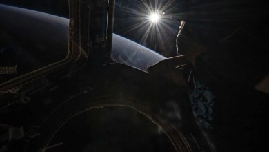 Astronauts’ brains change shape and position after time in space, study finds Astronauts’ brains change shape and position after time in space, study finds