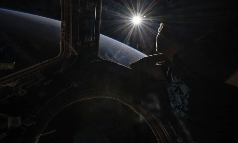 Astronauts’ brains change shape and position after time in space, study finds Astronauts’ brains change shape and position after time in space, study finds