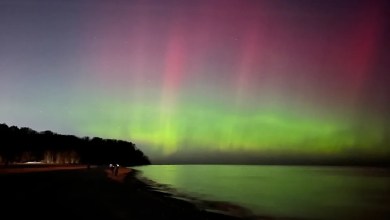 All of Wisconsin has a chance of seeing northern lights on Dec. 8 All of Wisconsin has a chance of seeing northern lights on Dec. 8
