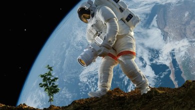 Making hummus on the moon? Scientists just grew chickpeas in simulated lunar dirt Making hummus on the moon? Scientists just grew chickpeas in simulated lunar dirt