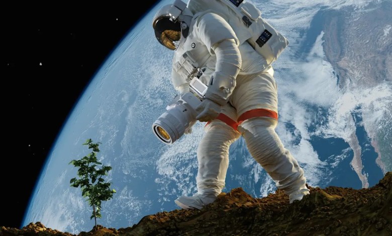 Making hummus on the moon? Scientists just grew chickpeas in simulated lunar dirt Making hummus on the moon? Scientists just grew chickpeas in simulated lunar dirt