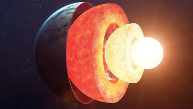 The most common type of planet in the galaxy may not look anything like Earth on the inside The most common type of planet in the galaxy may not look anything like Earth on the inside