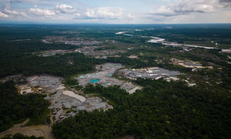 Amazon deforestation surges in Colombia, reversing historic gains Amazon deforestation surges in Colombia, reversing historic gains