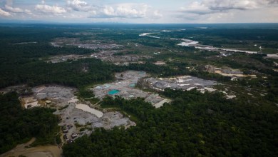 Amazon deforestation surges in Colombia, reversing historic gains Amazon deforestation surges in Colombia, reversing historic gains