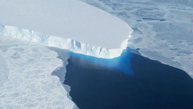 Antarctica has lost 5,000 square miles of ‘grounded ice’ in the last 30 years, satellite images reveal Antarctica has lost 5,000 square miles of ‘grounded ice’ in the last 30 years, satellite images reveal