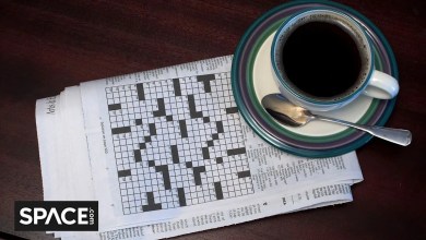 Crossword quiz for week of Nov. 3, 2025 Crossword quiz for week of Nov. 3, 2025