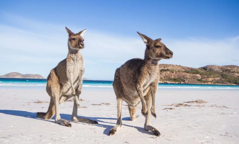 10 Australian Experiences That Don’t Cost a Fortune 10 Australian Experiences That Don’t Cost a Fortune