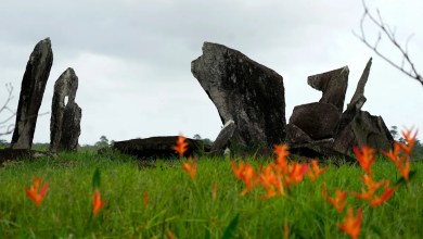 Archaeological digs in Amazon provide clues about Indigenous inhabitants before colonization Archaeological digs in Amazon provide clues about Indigenous inhabitants before colonization