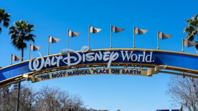 These are the best times to visit Disney World if you want to avoid crowds and save money These are the best times to visit Disney World if you want to avoid crowds and save money