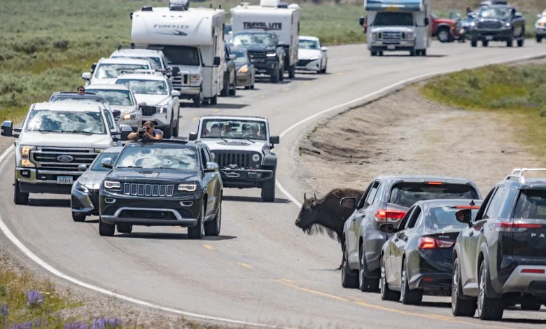 The Most Overcrowded National Parks This Summer (And What to Visit Instead) The Most Overcrowded National Parks This Summer (And What to Visit Instead)