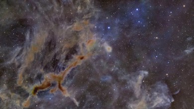 Giraffe in space? Eerie dark nebula takes on an uncanny shape (photo) Giraffe in space? Eerie dark nebula takes on an uncanny shape (photo)