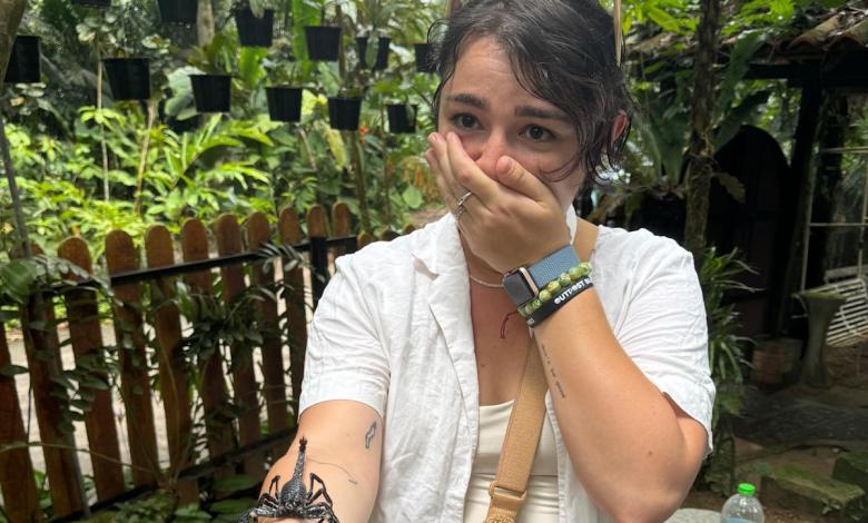 After 2 layoffs and a breakup, I left my life to travel full time. 3 cities helped my anxiety — and one overwhelmed me. After 2 layoffs and a breakup, I left my life to travel full time. 3 cities helped my anxiety — and one overwhelmed me.