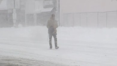 Latest snow totals after winter storm slams Philadelphia region Latest snow totals after winter storm slams Philadelphia region