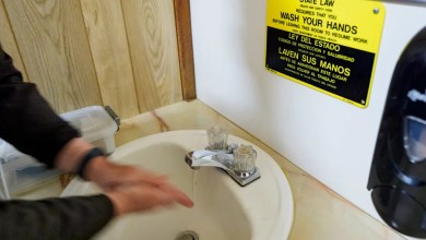 Old brie and no soap in Lane County restaurant inspections Old brie and no soap in Lane County restaurant inspections