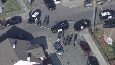 Oakland officers shoot, kill man who was ‘pointing a firearm at people,’ police say Oakland officers shoot, kill man who was ‘pointing a firearm at people,’ police say
