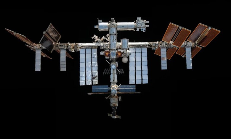 Viruses may be more powerful in the International Space Station’s microgravity environment Viruses may be more powerful in the International Space Station’s microgravity environment