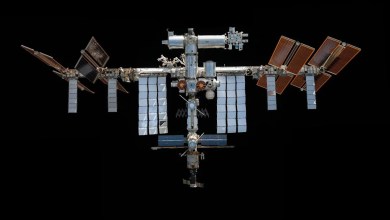 Viruses may be more powerful in the International Space Station’s microgravity environment Viruses may be more powerful in the International Space Station’s microgravity environment