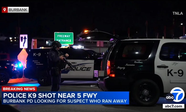 Burbank police dog shot near 5 Freeway during traffic stop; suspect search underway Burbank police dog shot near 5 Freeway during traffic stop; suspect search underway