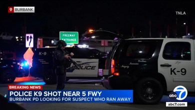 Burbank police dog shot near 5 Freeway during traffic stop; suspect search underway Burbank police dog shot near 5 Freeway during traffic stop; suspect search underway