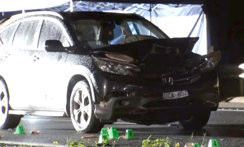 2 Women Struck and Killed After Stopping to Help Wounded Animal on Busy Highway: Police 2 Women Struck and Killed After Stopping to Help Wounded Animal on Busy Highway: Police