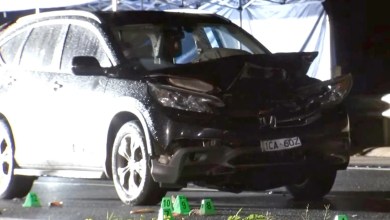 2 Women Struck and Killed After Stopping to Help Wounded Animal on Busy Highway: Police 2 Women Struck and Killed After Stopping to Help Wounded Animal on Busy Highway: Police