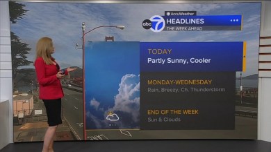 Partly sunny and cooler Sunday before rain returns Monday Partly sunny and cooler Sunday before rain returns Monday