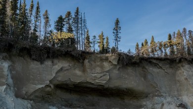 Takeaways from AP’s report on potential impacts of Alaska’s proposed Ambler Access Road Takeaways from AP’s report on potential impacts of Alaska’s proposed Ambler Access Road