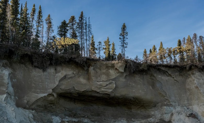 Takeaways from AP’s report on potential impacts of Alaska’s proposed Ambler Access Road Takeaways from AP’s report on potential impacts of Alaska’s proposed Ambler Access Road