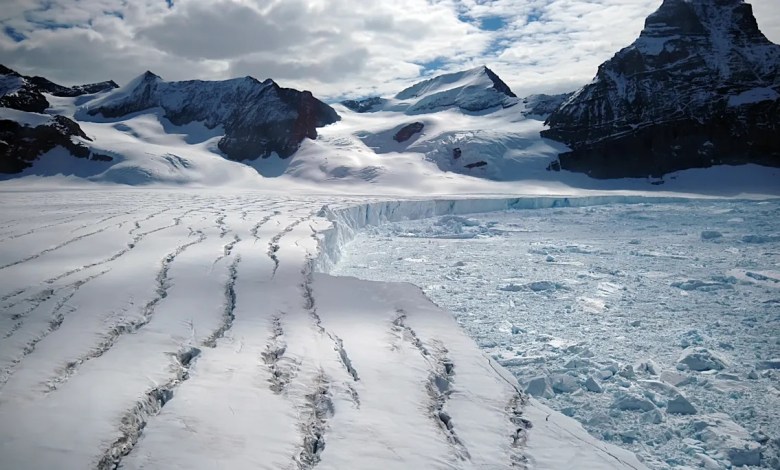 ‘What happened in the past is likely to recur’ ‘What happened in the past is likely to recur’