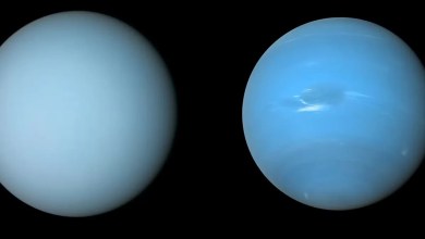 Uranus and Neptune could be full of rocks, new study suggests Uranus and Neptune could be full of rocks, new study suggests