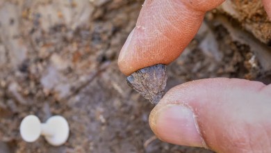 Study finds humans were making fire 400,000 years ago, far earlier than once thought Study finds humans were making fire 400,000 years ago, far earlier than once thought