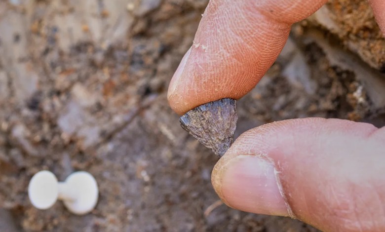 Study finds humans were making fire 400,000 years ago, far earlier than once thought Study finds humans were making fire 400,000 years ago, far earlier than once thought