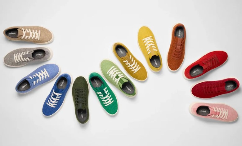 Allbirds goes from shoes to AI Allbirds goes from shoes to AI
