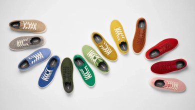 Allbirds goes from shoes to AI Allbirds goes from shoes to AI
