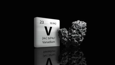 WAPC approves AVL’s vanadium processing hub WAPC approves AVL’s vanadium processing hub