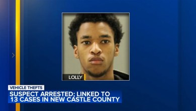 19-year-old charged in string of vehicle thefts across New Castle County 19-year-old charged in string of vehicle thefts across New Castle County