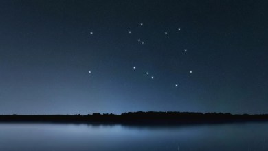 See the famous winged horse Pegasus fly in the autumn night sky See the famous winged horse Pegasus fly in the autumn night sky