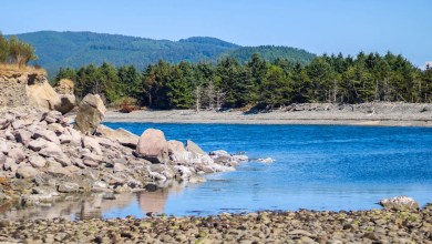 Skeletal remains that washed up on Washington beach identified as Oregon mayor who vanished 20 years ago Skeletal remains that washed up on Washington beach identified as Oregon mayor who vanished 20 years ago
